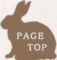 トップへ