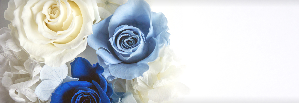 スライド背景画像3