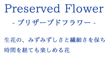 - プリザーブドフラワー - 生花の、みずみずしさと繊細さを保ち時間を経ても楽しめる花